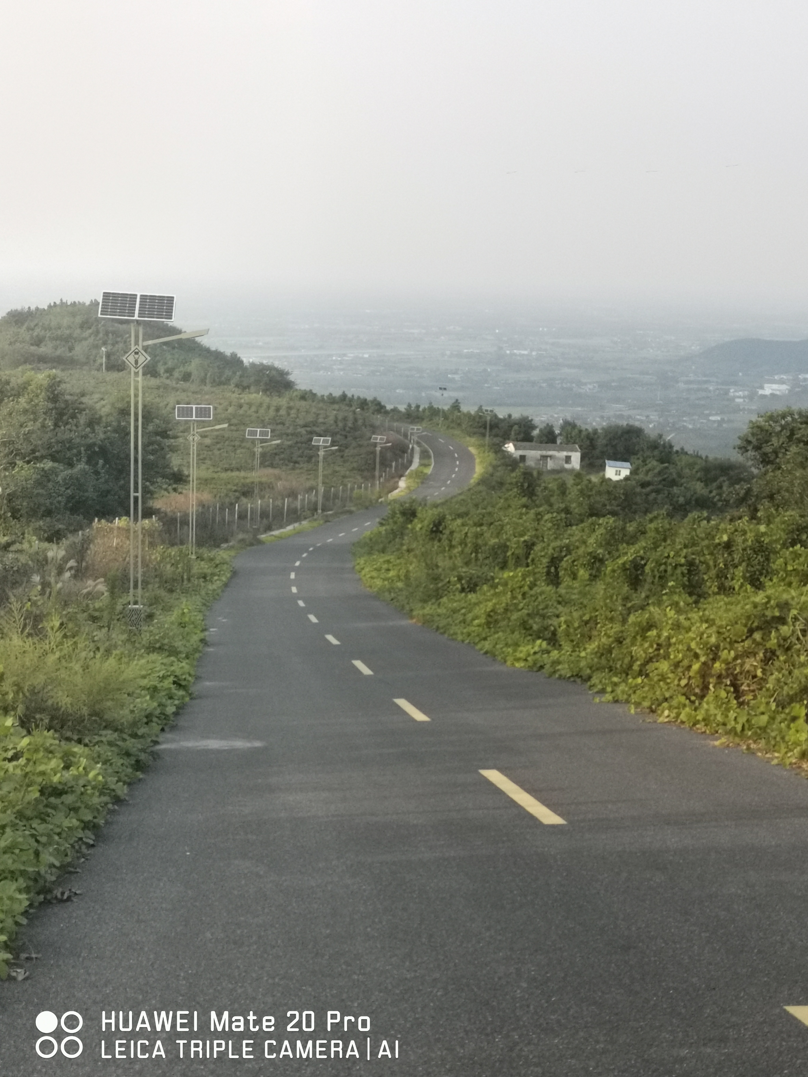 保利